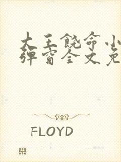 大王饶命小说无弹窗全文免费阅读