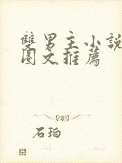 双男主小说娱乐圈文推荐