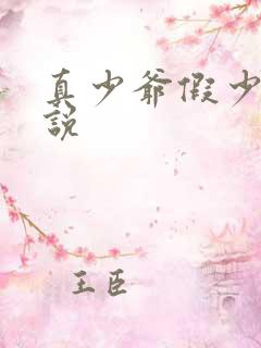 真少爷假少爷小说