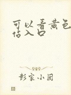 可以看黄色的网站入口