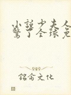 小说少夫人她震惊了全球免费