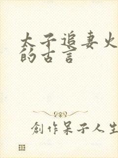 太子追妻火葬场的古言