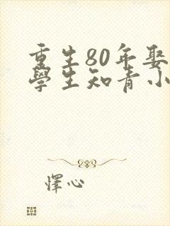 重生80年娶大学生知青小说