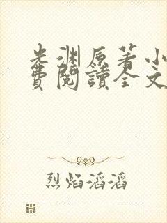 光渊原著小说免费阅读全文