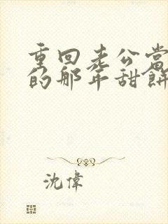 重回老公当校草的那年甜饼小说