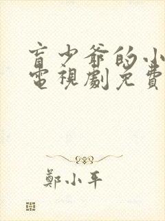 盲少爷的小女仆电视剧免费观看全集