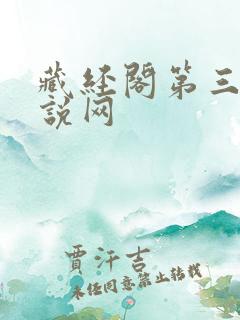 藏经阁第三版小说网