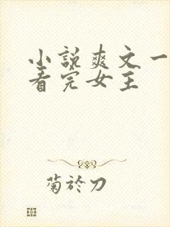 小说爽文一口气看完女主