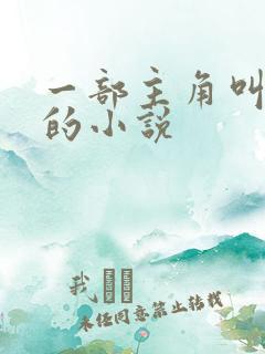 一部主角叫秦叶的小说