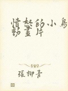 愤怒的小鸟3d动画片