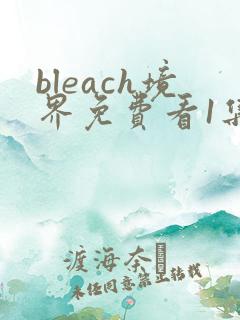 bleach境界免费看1集至115集