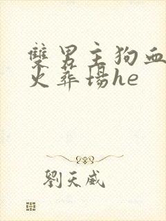 双男主狗血追妻火葬场he