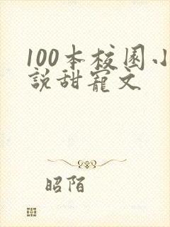 100本校园小说甜宠文