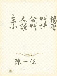 主人公叫杨洛的小说叫什么名字