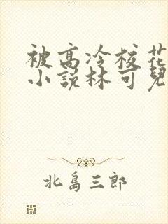 被高冷校花倒追小说林可儿