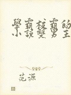 学霸校霸的校园小说双男主