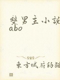 双男主小说推荐abo