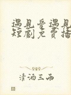 遇见爱遇见幸福短剧免费播放第1集