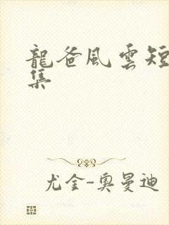 龙爸风云短剧合集