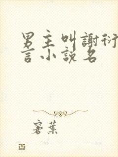 男主叫谢衍的古言小说名