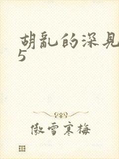 胡乱的深见君05