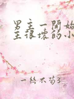 男主一开始对女主很坏的小说