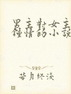 男主对女主一见钟情的小说校园文