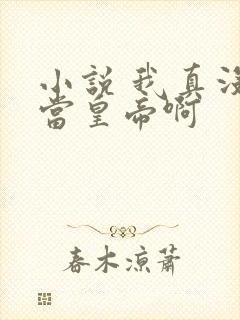 小说 我真没想当皇帝啊