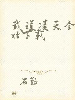 武道凌天全本txt下载