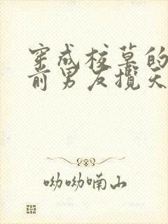 穿成校草的炮灰前男友揽天星