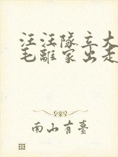 汪汪队立大功毛毛离家出走全集