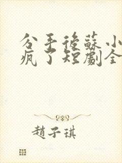 分手后苏小姐杀疯了短剧全集免费观看