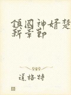 镇国神婿楚尘最新章节