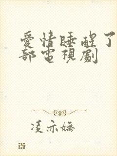 爱情睡醒了第二部电视剧