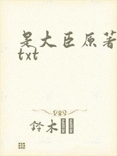 是大臣原著小说txt