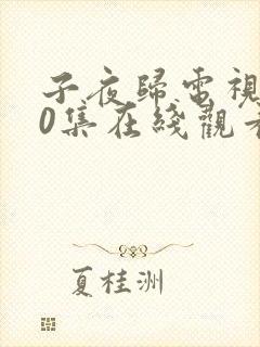 子夜归电视剧20集在线观看