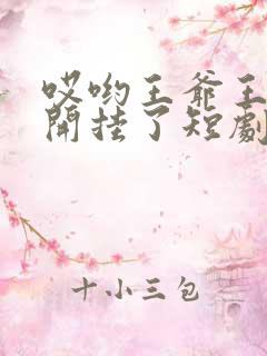 哎哟王爷王妃又开挂了短剧
