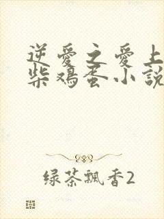 逆爱之爱上情敌柴鸡蛋小说在线阅读