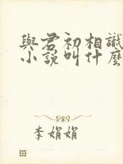 与君初相识原著小说叫什么