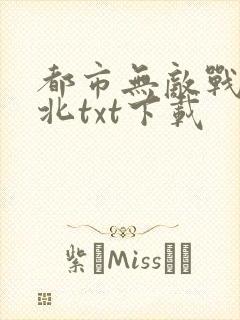 都市无敌战神林北txt下载