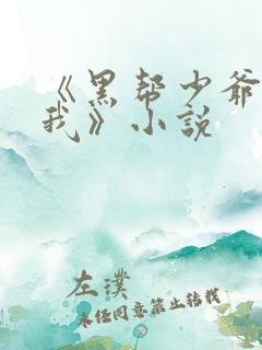 《黑帮少爷爱上我》小说
