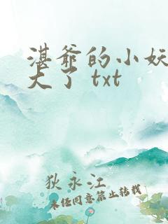 湛爷的小妖精长大了 txt