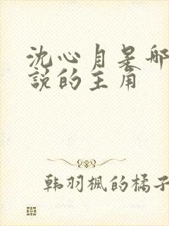 沈心月是哪部小说的主角