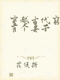 穿越古代穷书生有个妻子