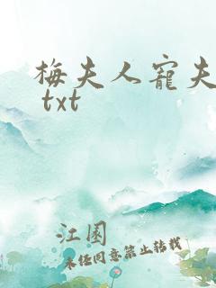 梅夫人宠夫日常 txt