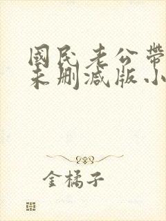 国民老公带回家未删减版小说