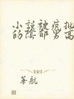 小说被疯批哄骗的阴郁男高