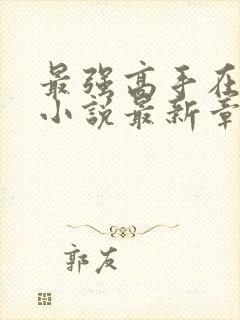 最强高手在都市小说最新章节