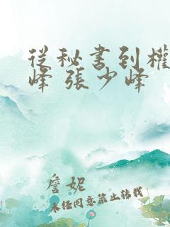 从秘书到权力巅峰 张少峰