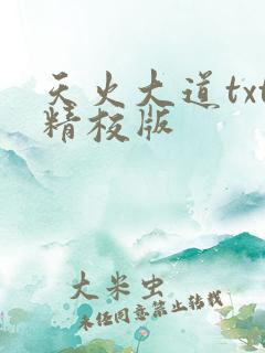 天火大道txt精校版